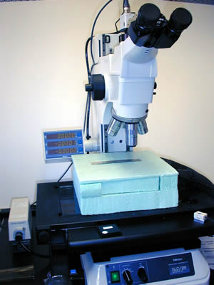 Microscope Set Up