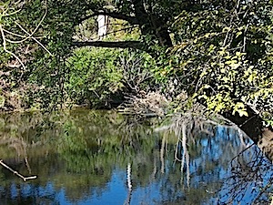 Berry Springs - Nature Loop